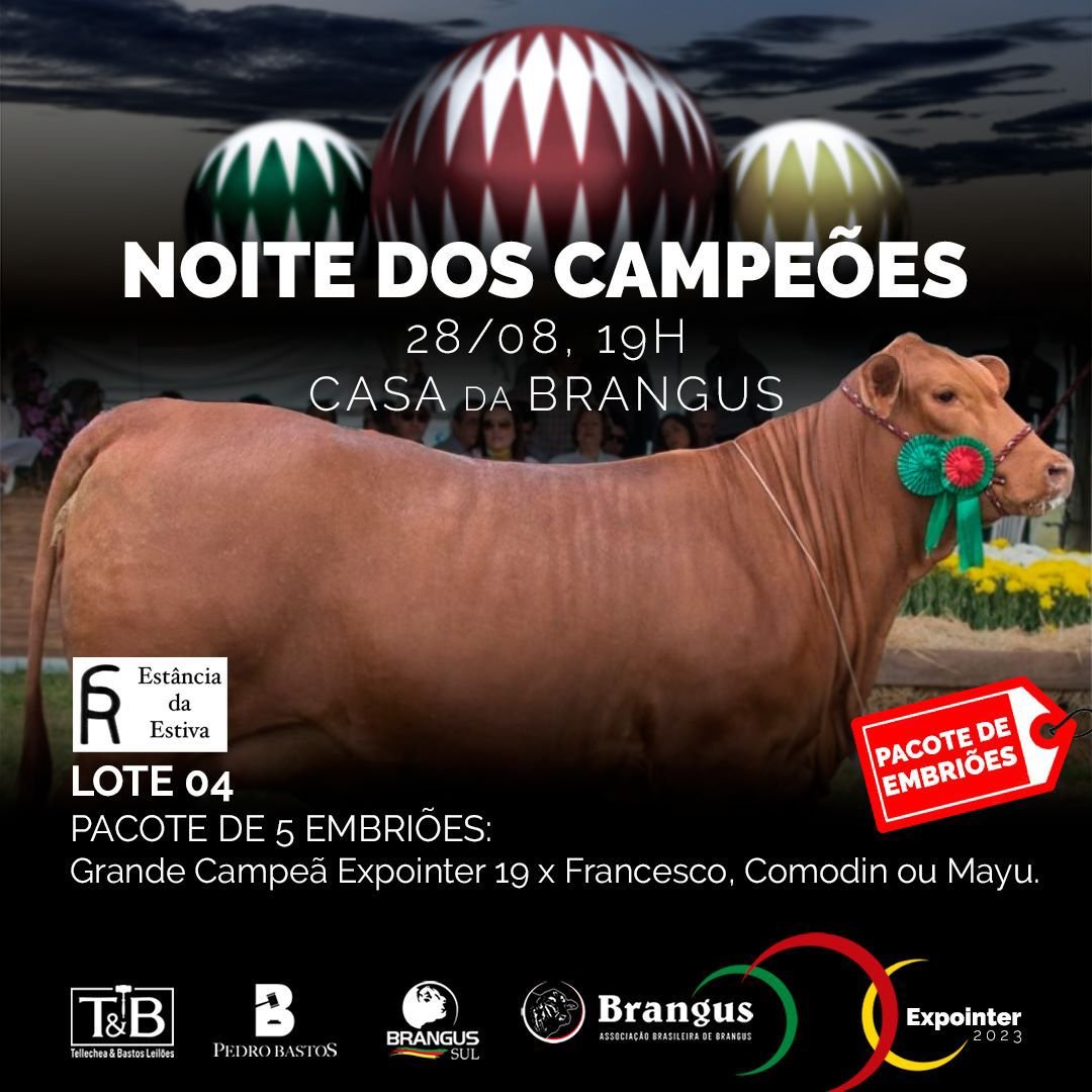 Noite dos Campeões Brangus 2023 — foto 3