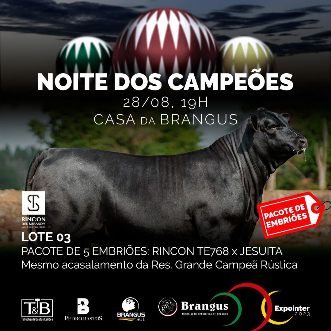 Noite dos Campeões Brangus 2023 — foto 7
