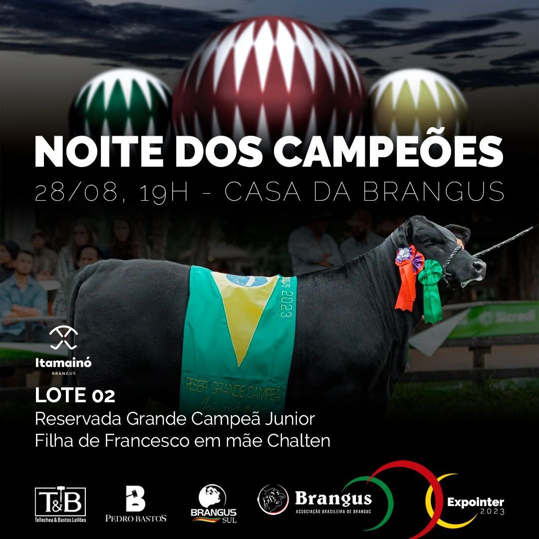 Noite dos Campeões Brangus 2023 — foto 8